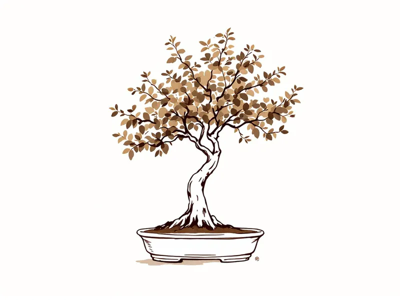 Small-leaved lime bonsai, ink drawing